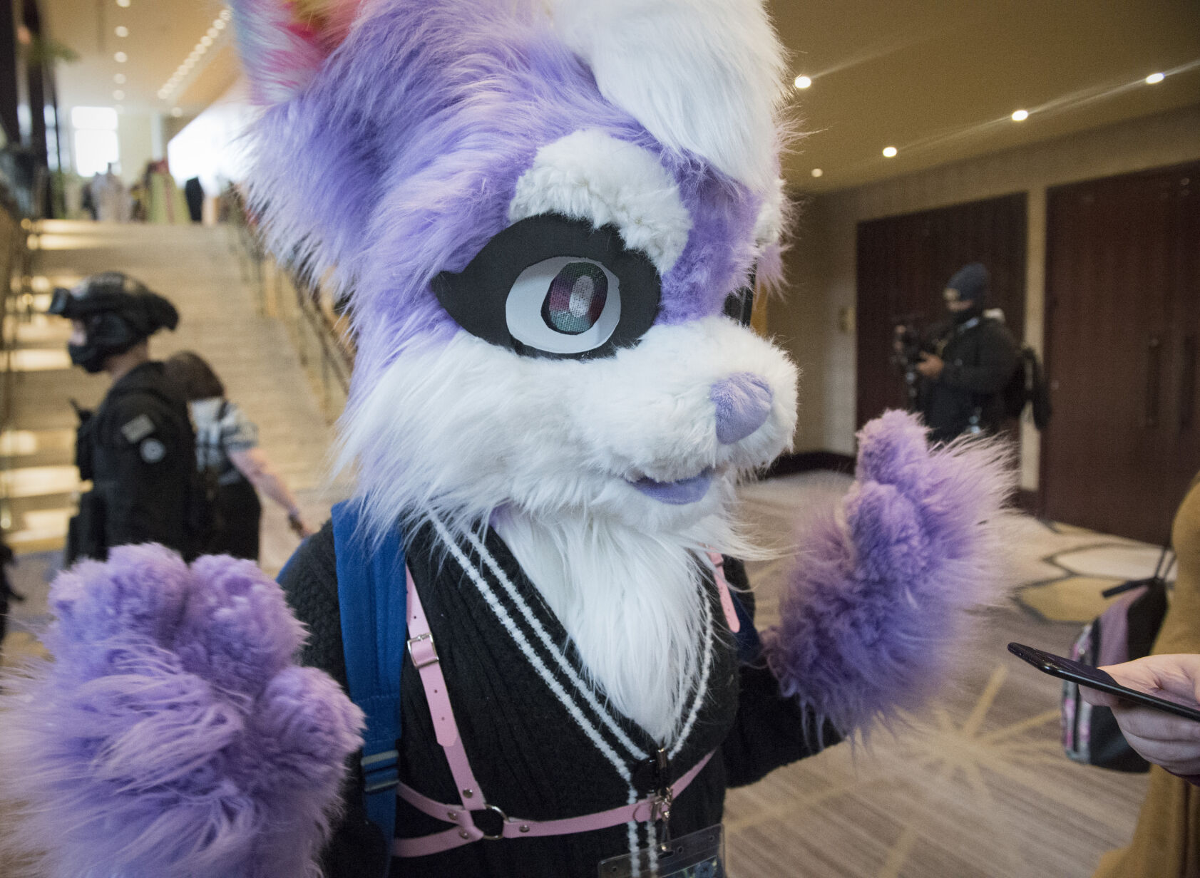 zenkaikon